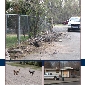 Code Enforcement in Colorado